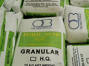智利硼酸